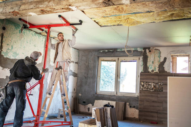 Best Cellulose Insulation  in Calico Rock, AR