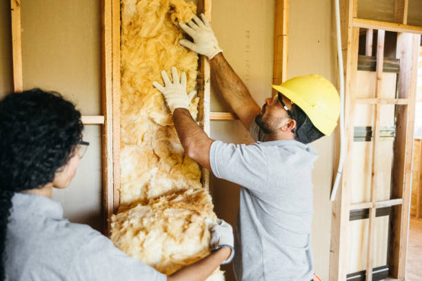 Best Insulation Replacement Services  in Calico Rock, AR