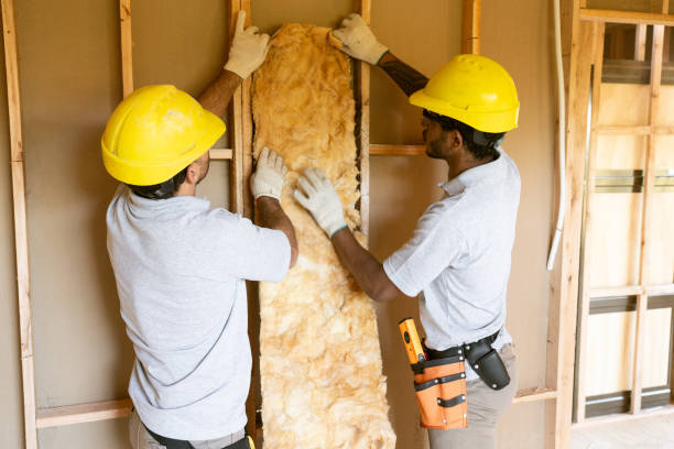 Insulation Inspection Services in Calico Rock, AR