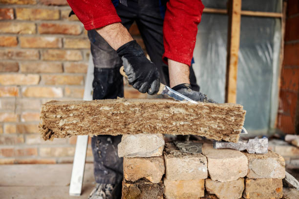 Best Insulation Removal  in Calico Rock, AR
