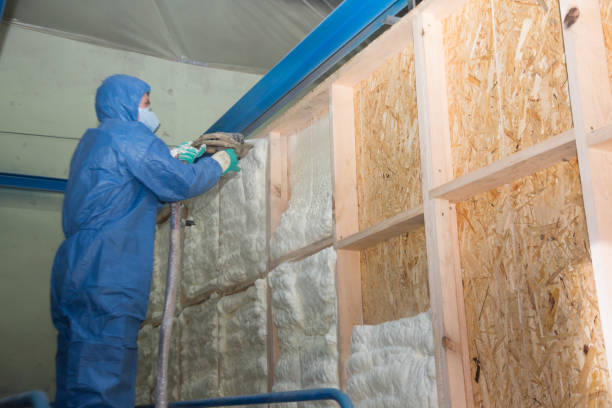 Best Wall Insulation Contractor  in Calico Rock, AR