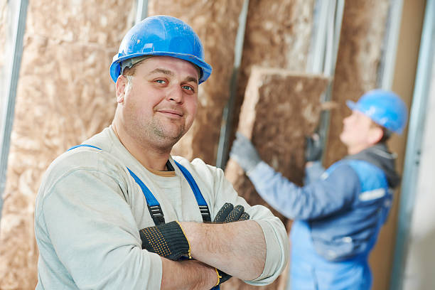 Best Best Insulation Companies  in Calico Rock, AR