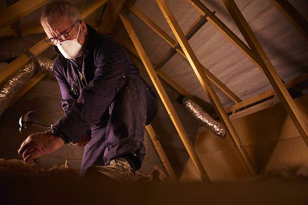 Best Attic Insulation Installation  in Calico Rock, AR