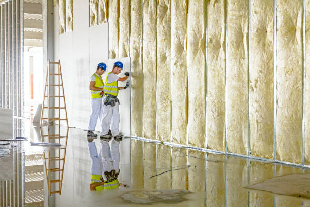 Best Insulation Contractors for Homes  in Calico Rock, AR